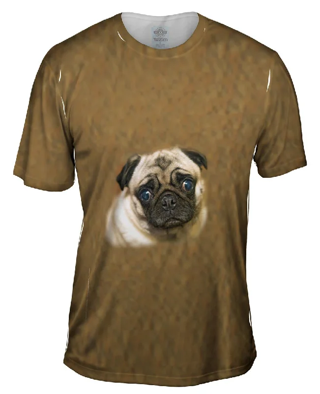 Sad Face Pug