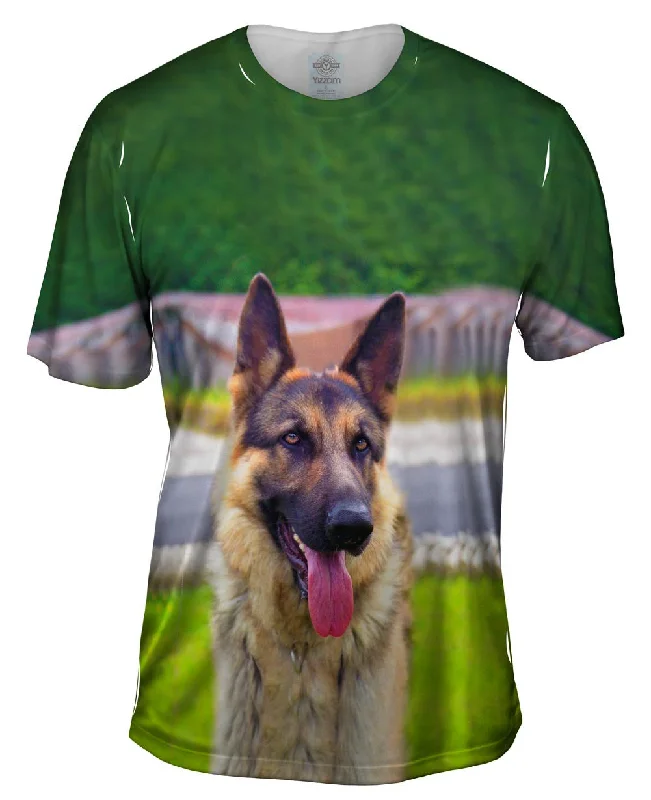 Sitting Proud German Sheperd