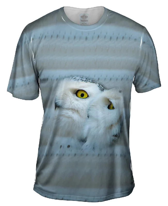 Snow Owls