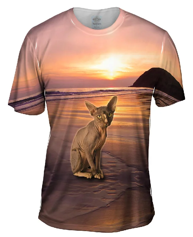 Sphynx Cat Beach Sunset