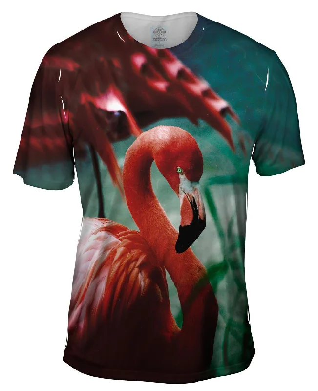 Sweet Flamingo