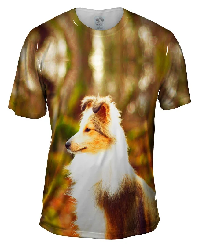 Swift Sheltie