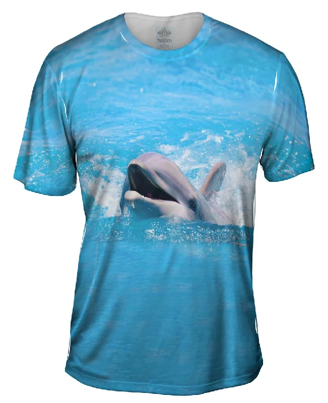 Swimming Dolphin