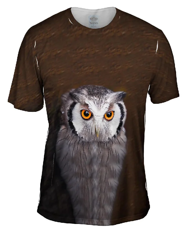 Tectonic Owl