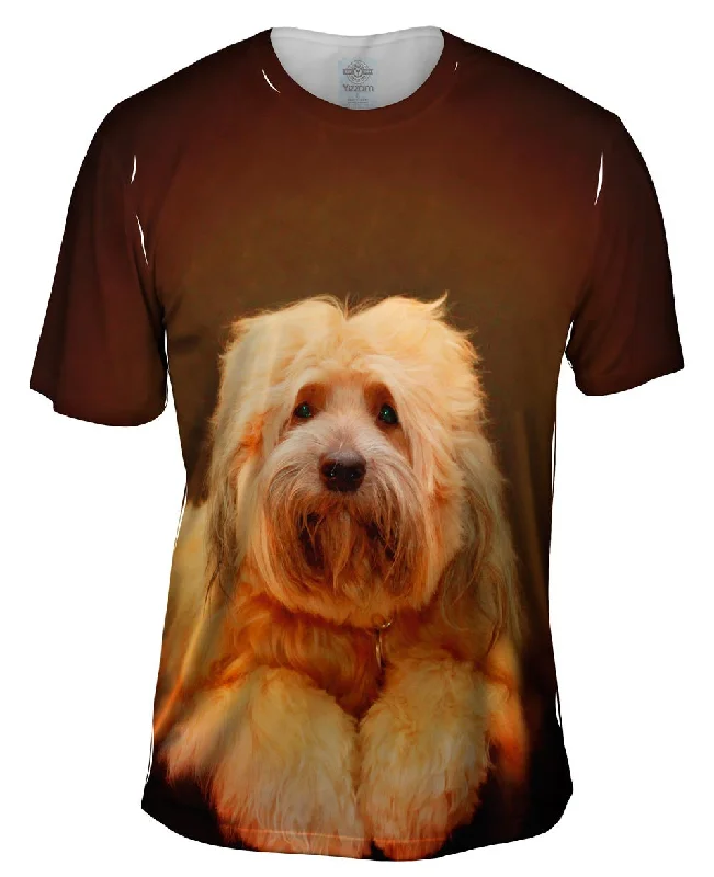 Tibetan Terrier