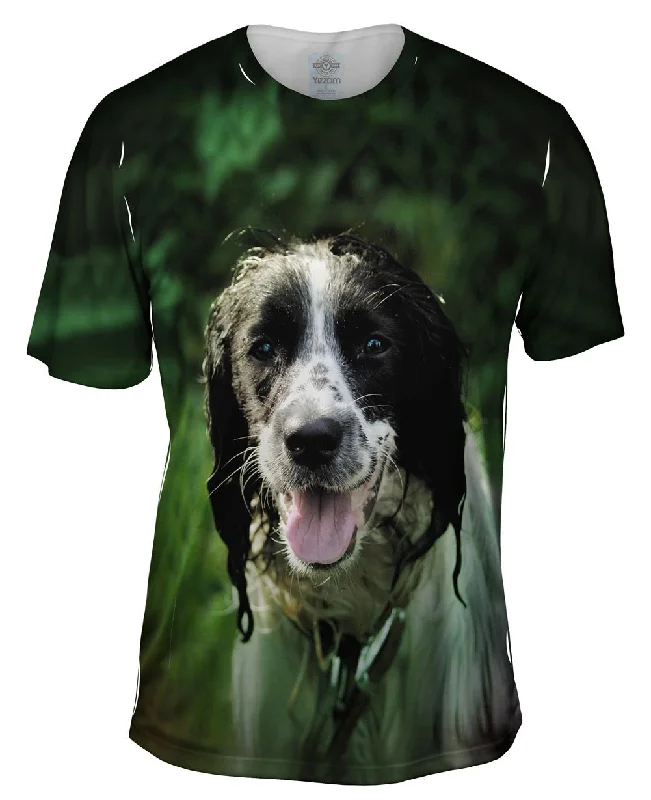 Wet Cavalier King Charles Spaniel